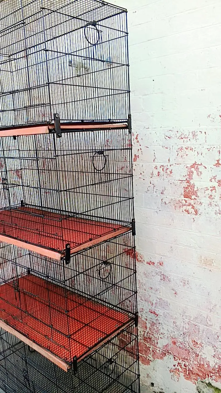 Master 8 portions folding cage for sale — photo 2