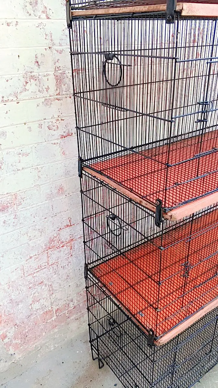 Master 8 portions folding cage for sale — photo 3
