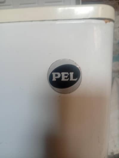 PEL CHEST Freezer 100 model