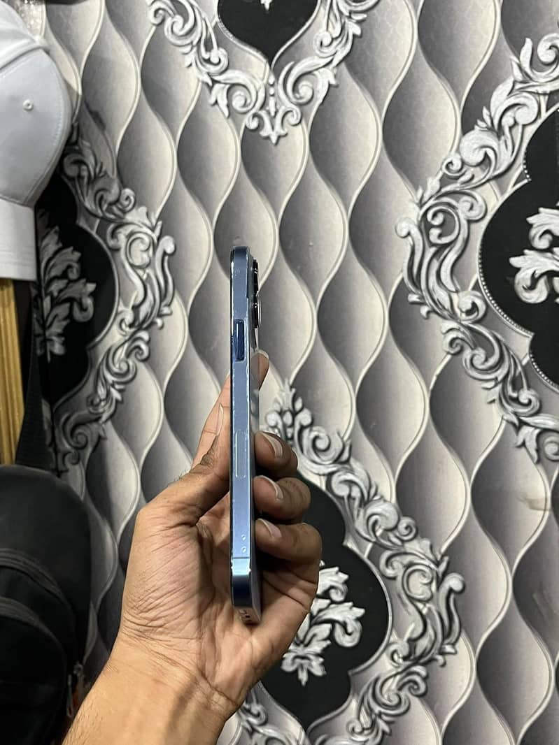Apple iPhone 13 Pro Max 2
