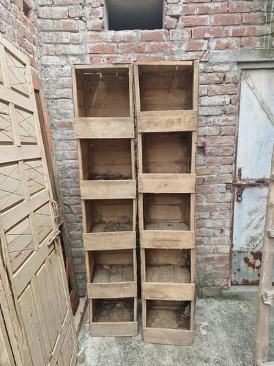 Pegion breeding boxes