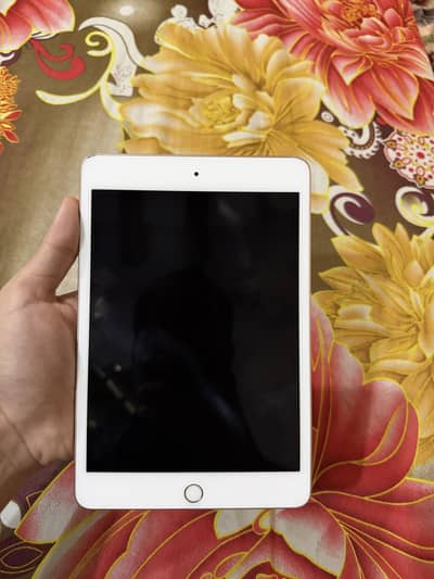 iPad Mini 5 256GB