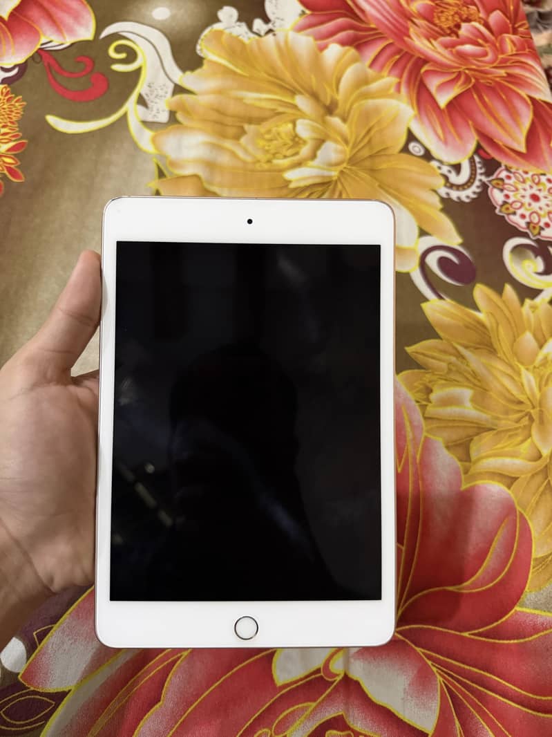 iPad Mini 5 256GB 0
