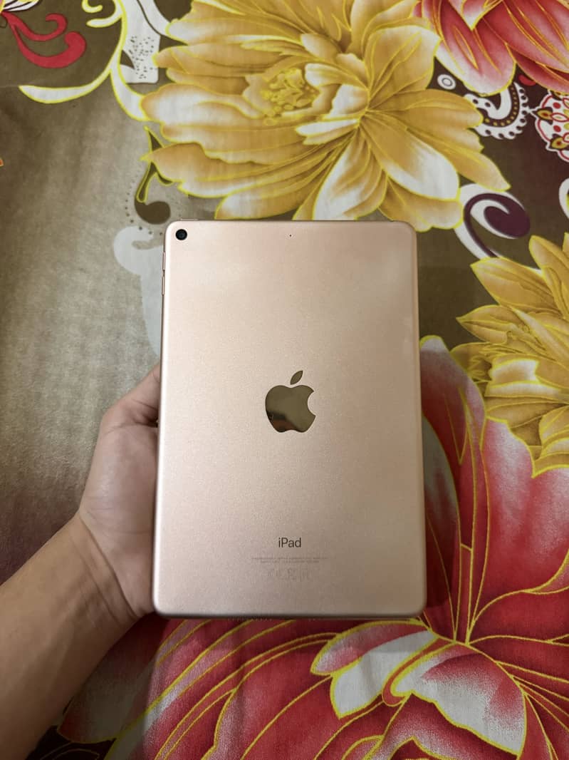 iPad Mini 5 256GB 2
