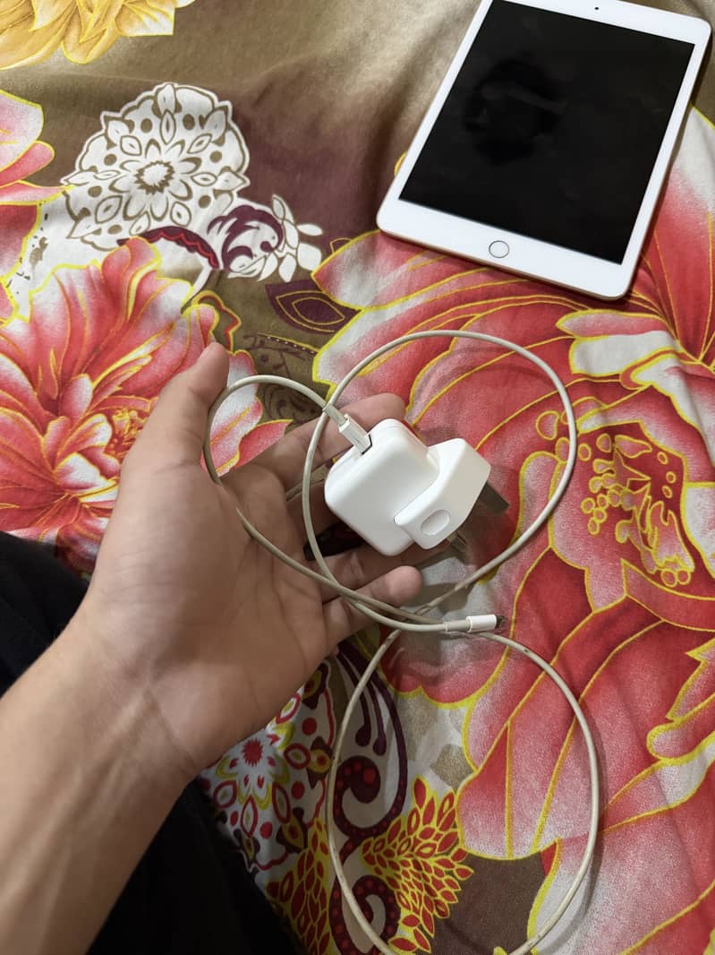 iPad Mini 5 256GB 8