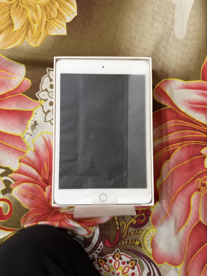 iPad Mini 5 256GB 10