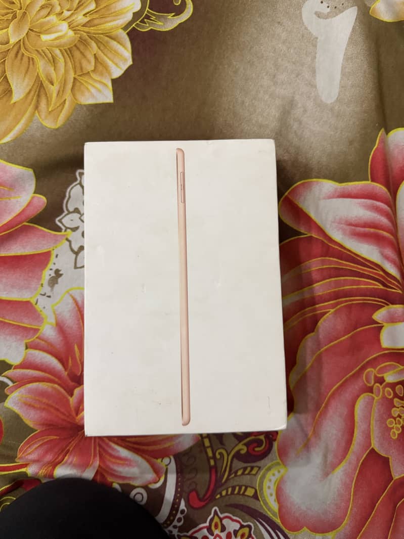 iPad Mini 5 256GB 11