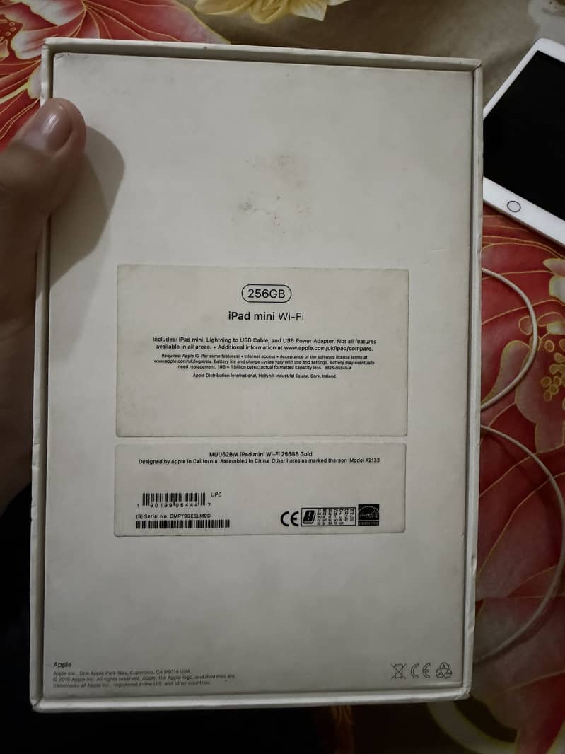 iPad Mini 5 256GB 12