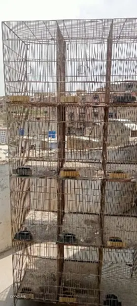 دو عدد  پرندوں کے پنجرے  برآے فروخت ھے ۔ — photo 6