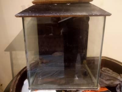 1 ft aquarium