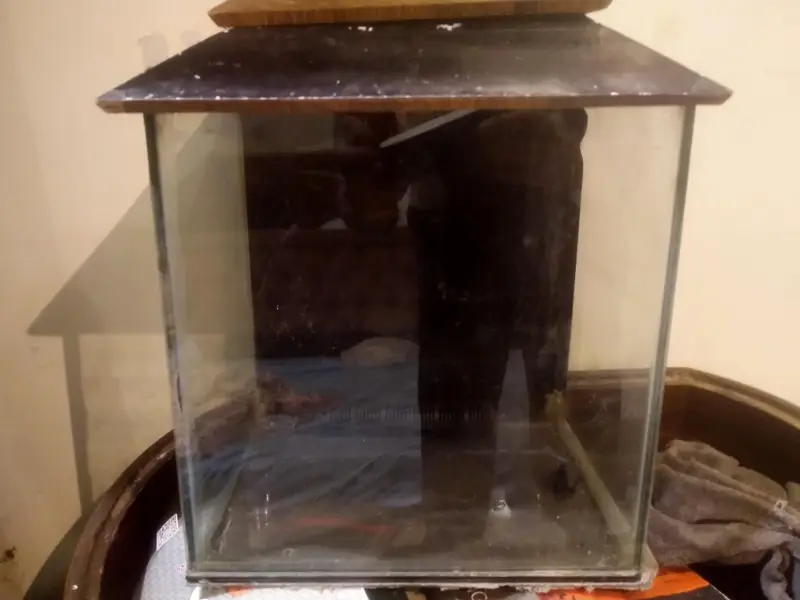 1 ft aquarium