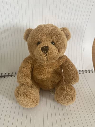 Teddy bear from Ted 2