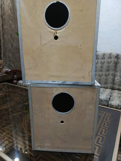 lovebirds/ cockatiel  box