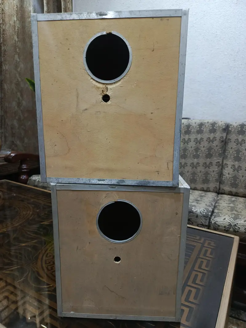 lovebirds/ cockatiel  box — photo 2