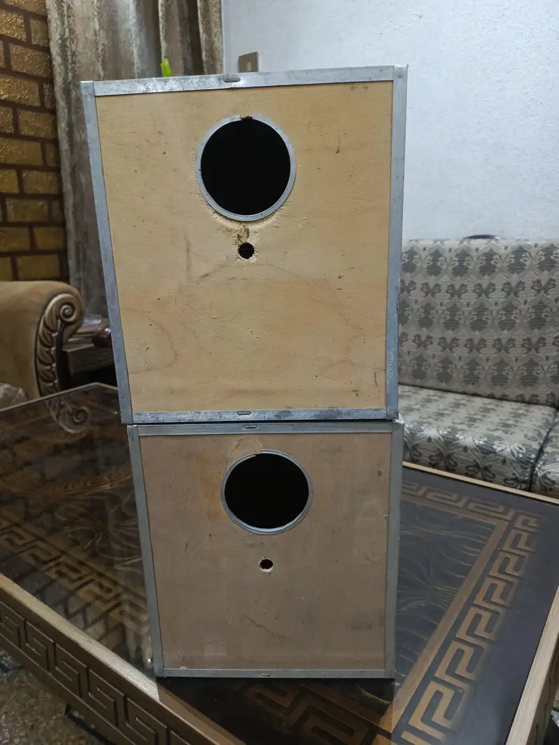lovebirds/ cockatiel  box — photo 3
