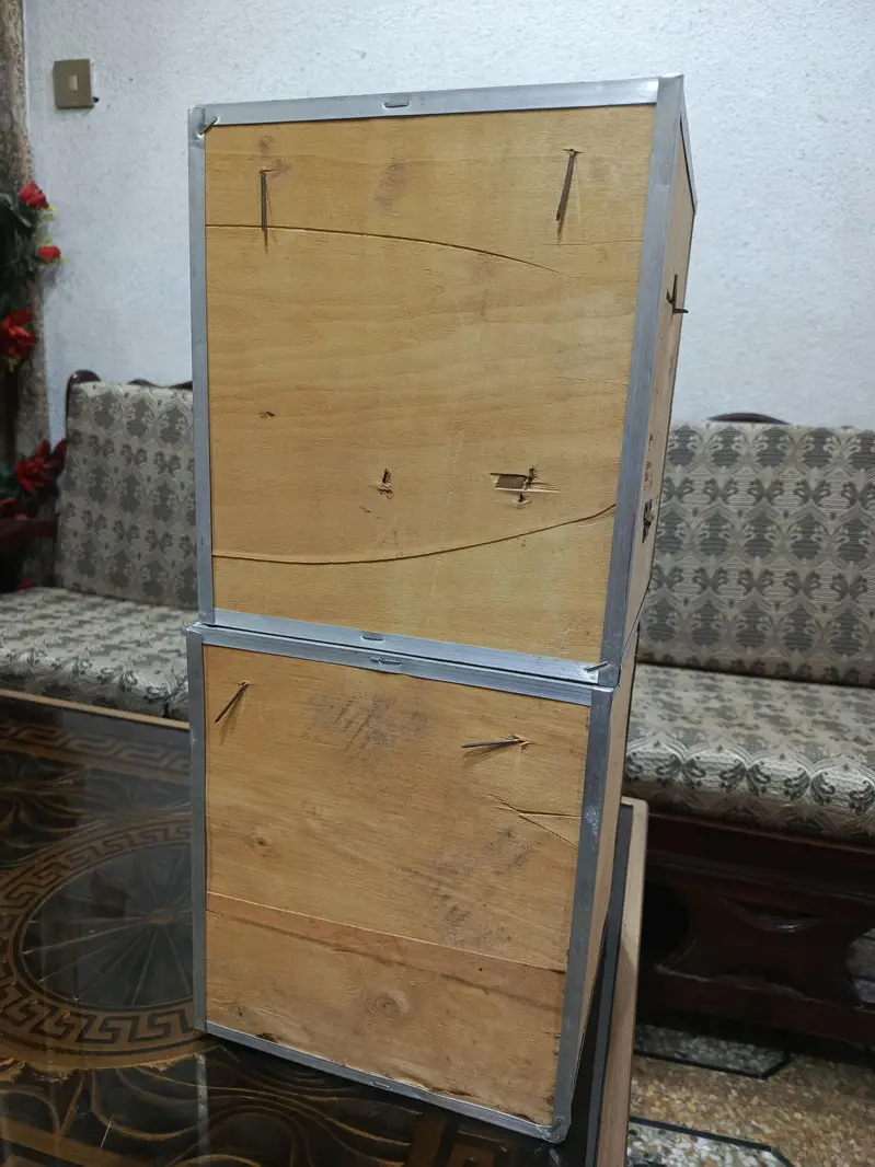 lovebirds/ cockatiel  box — photo 5
