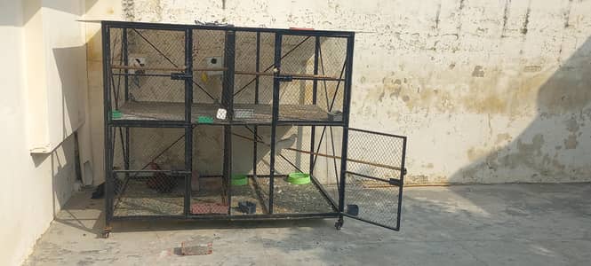 Best iron cage 2 portion