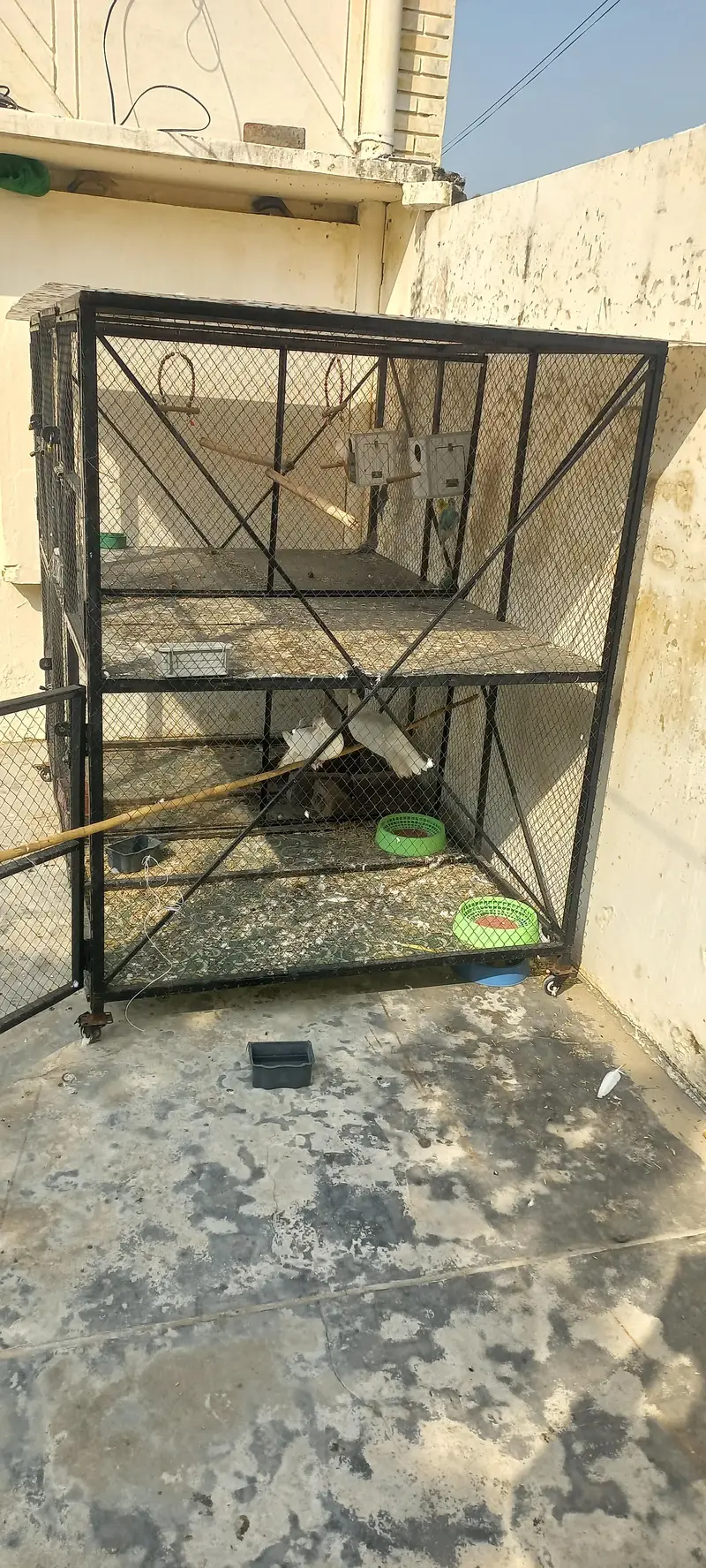 Best iron cage 2 portion — photo 3