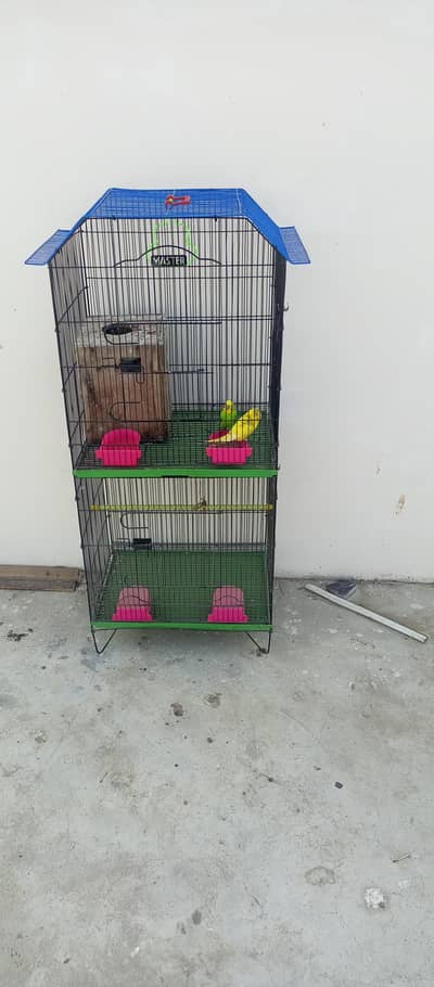 Master Cage