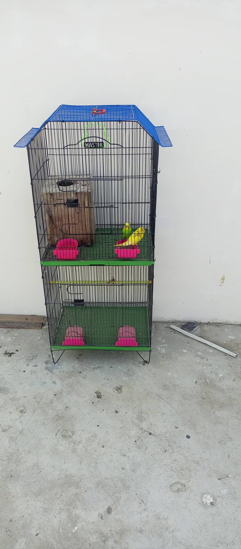 Master Cage + 1 pair budgie 0