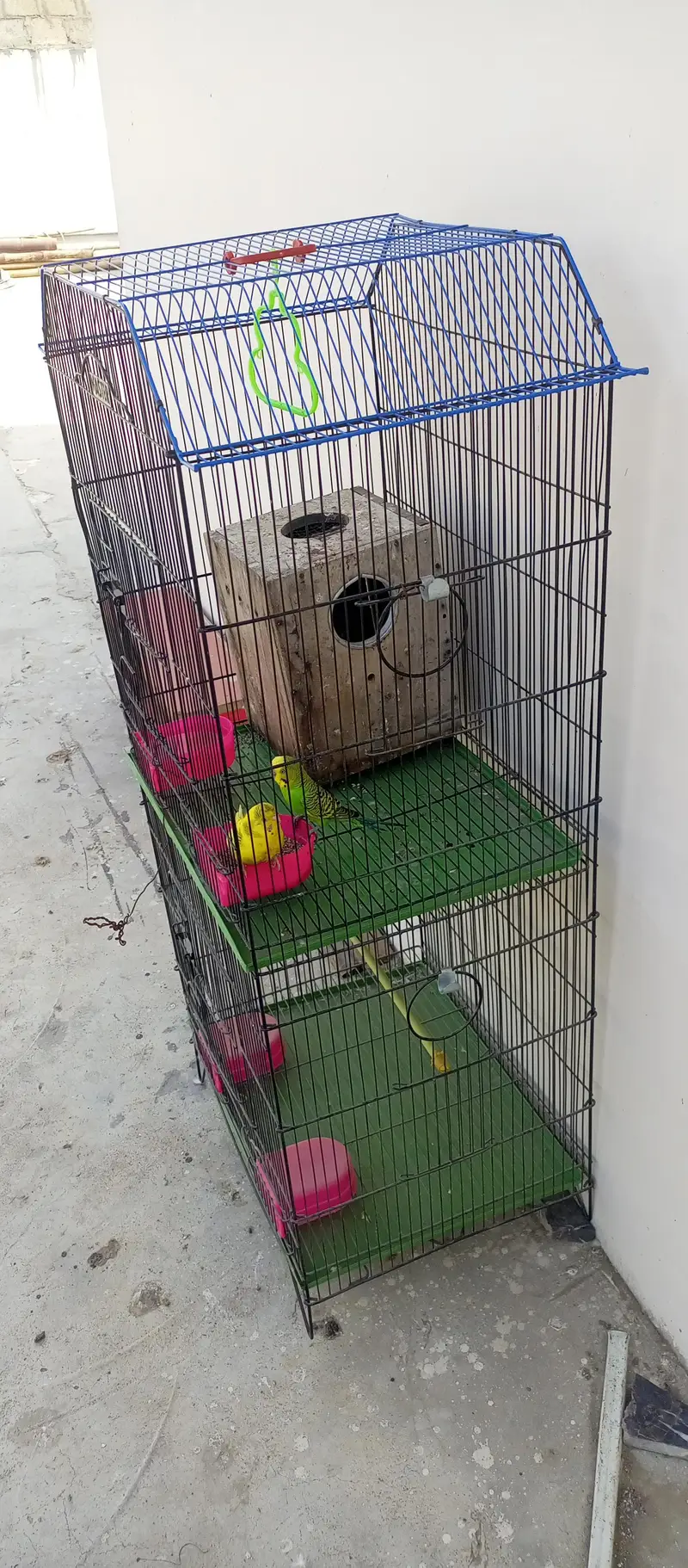 Master Cage — photo 2