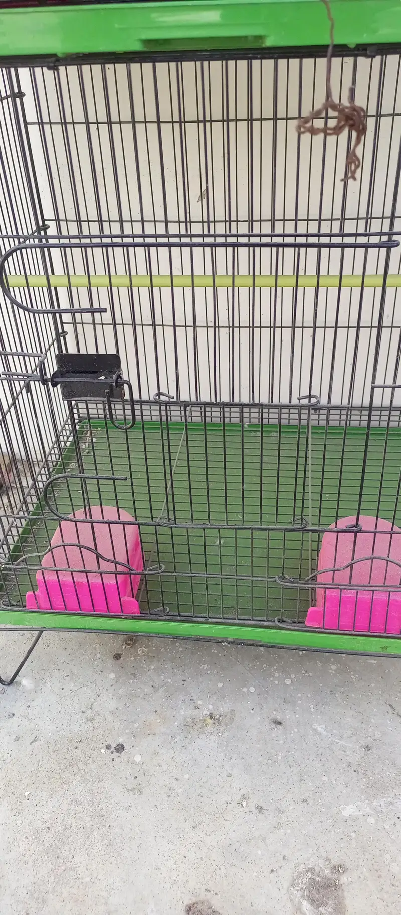 Master Cage — photo 3