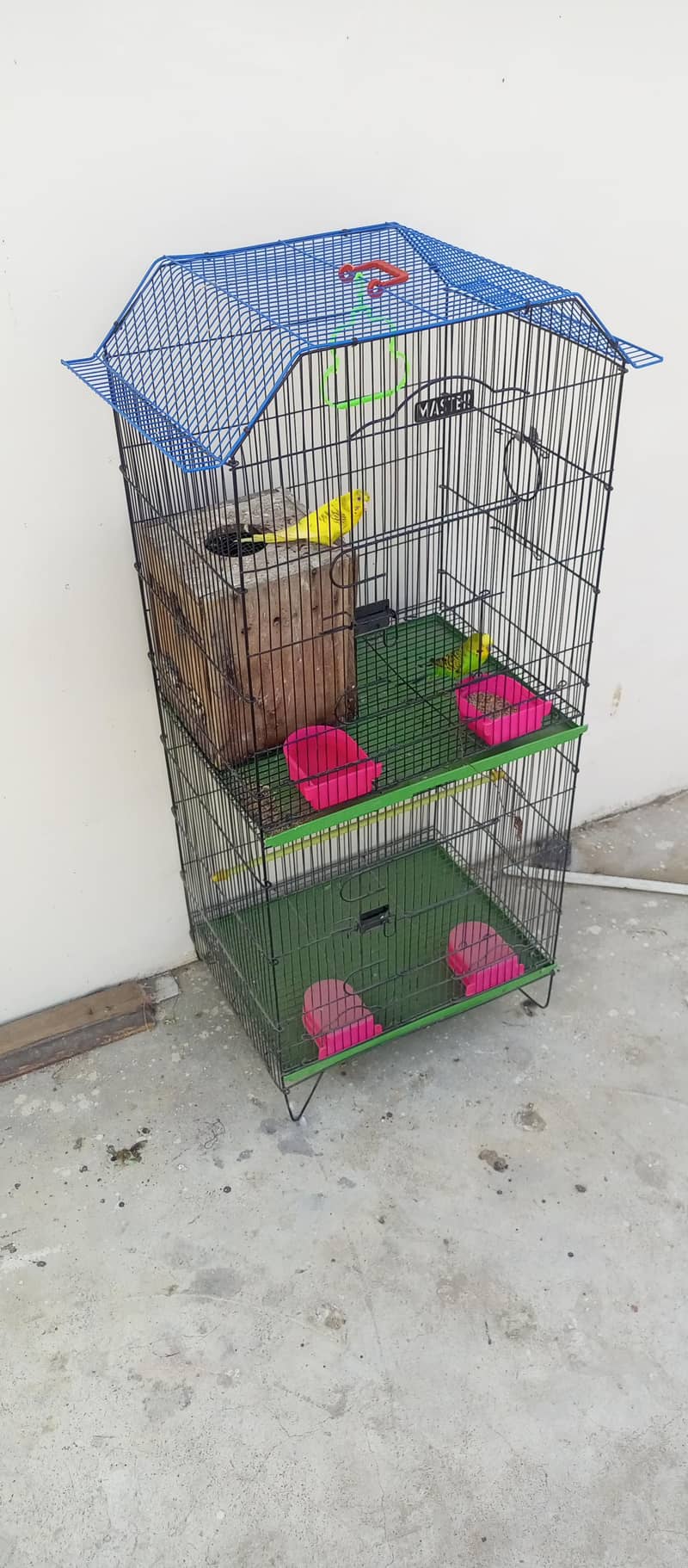Master Cage + 1 pair budgie 3