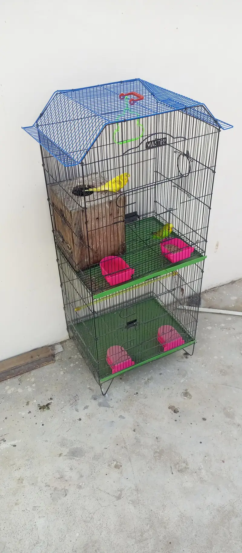 Master Cage — photo 4