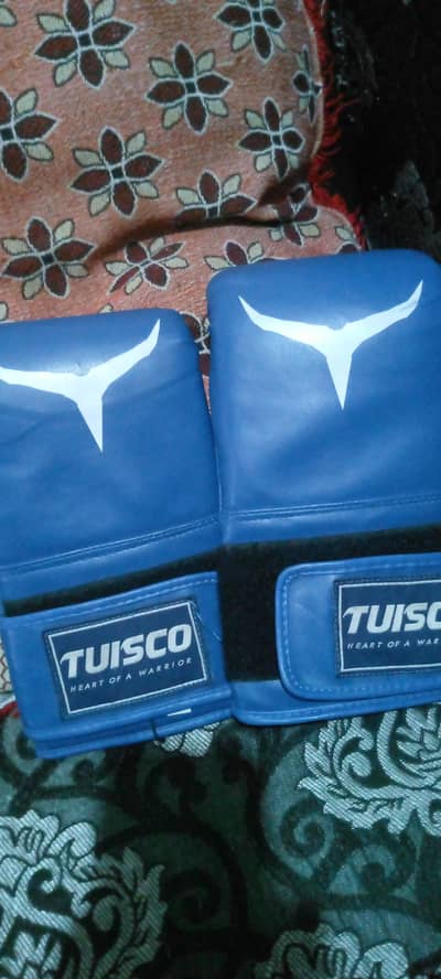 Tuisco Boxing Gloves Blue - Premium Quality Training Gloves