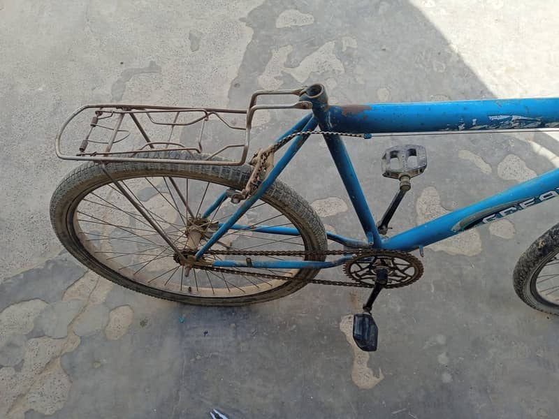 bicycle 3