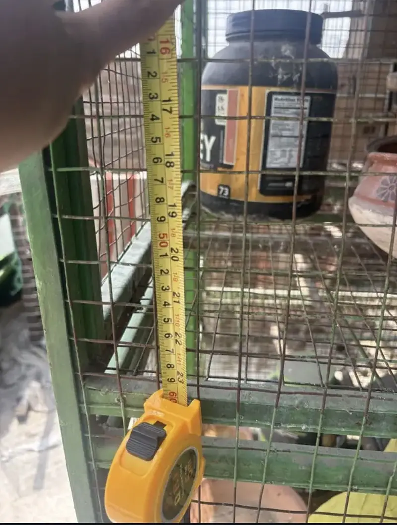 HEAVY WEIGHT BIRDS CAGE — photo 2