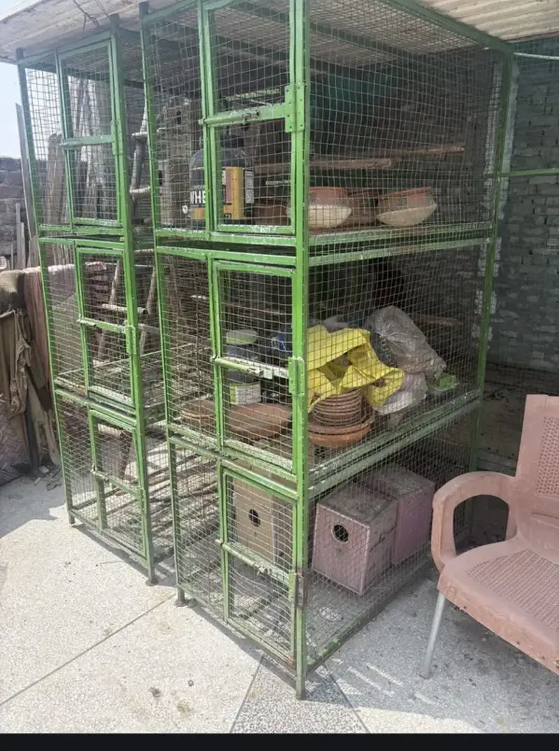HEAVY WEIGHT BIRDS CAGE — photo 3