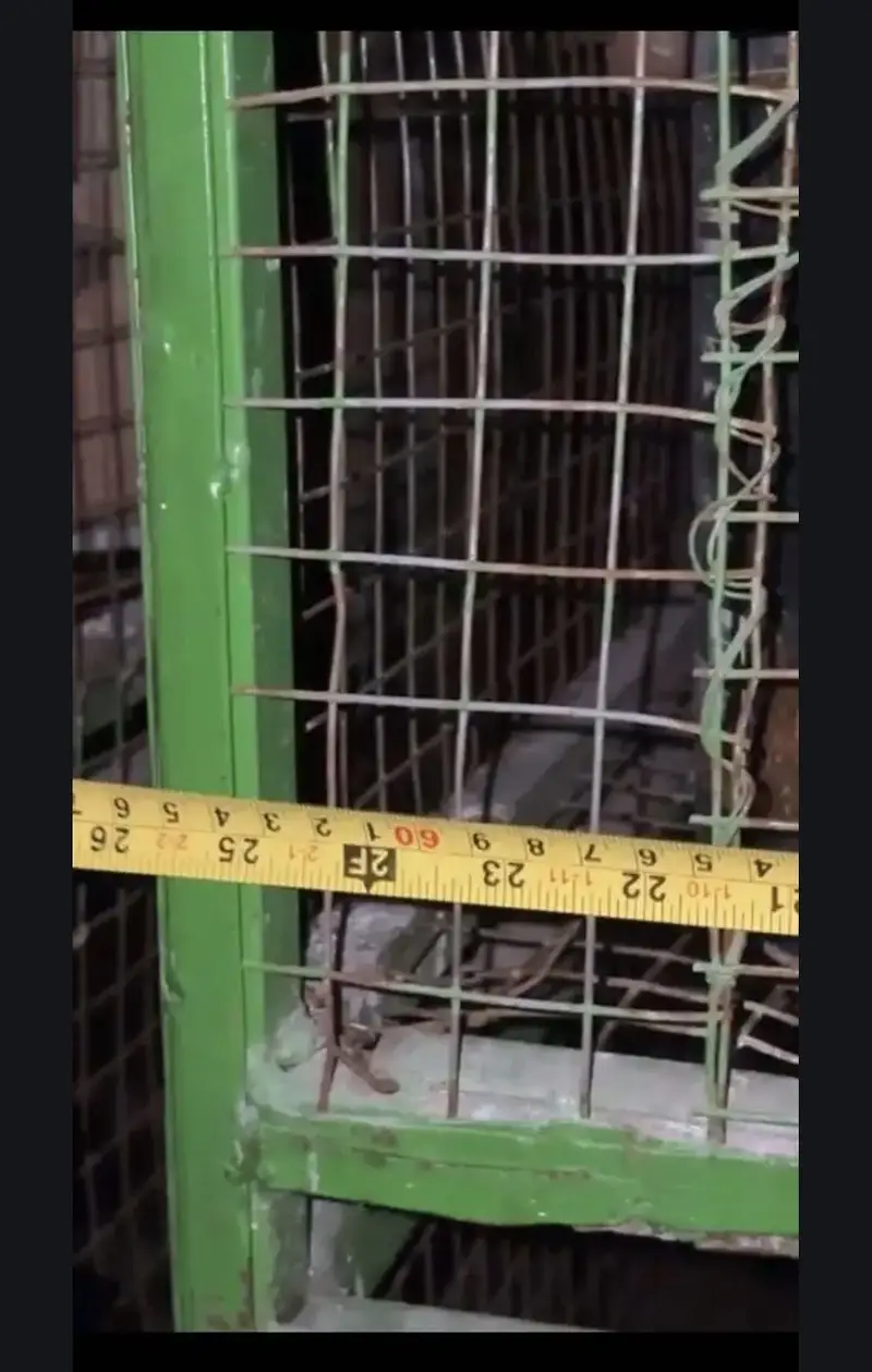 HEAVY WEIGHT BIRDS CAGE — photo 4