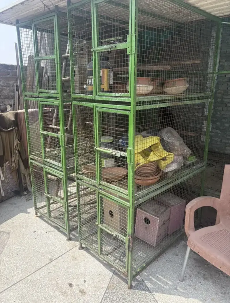 HEAVY WEIGHT BIRDS CAGE — photo 5