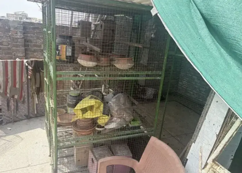 HEAVY WEIGHT BIRDS CAGE — photo 6