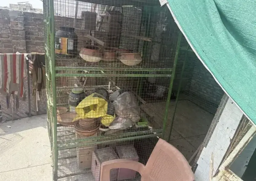HEAVY WEIGHT BIRDS CAGE — photo 7