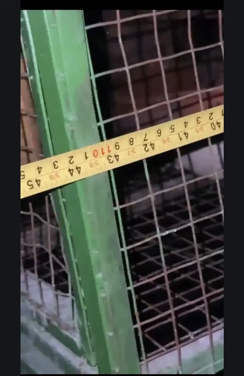 HEAVY WEIGHT BIRDS CAGE — photo 8