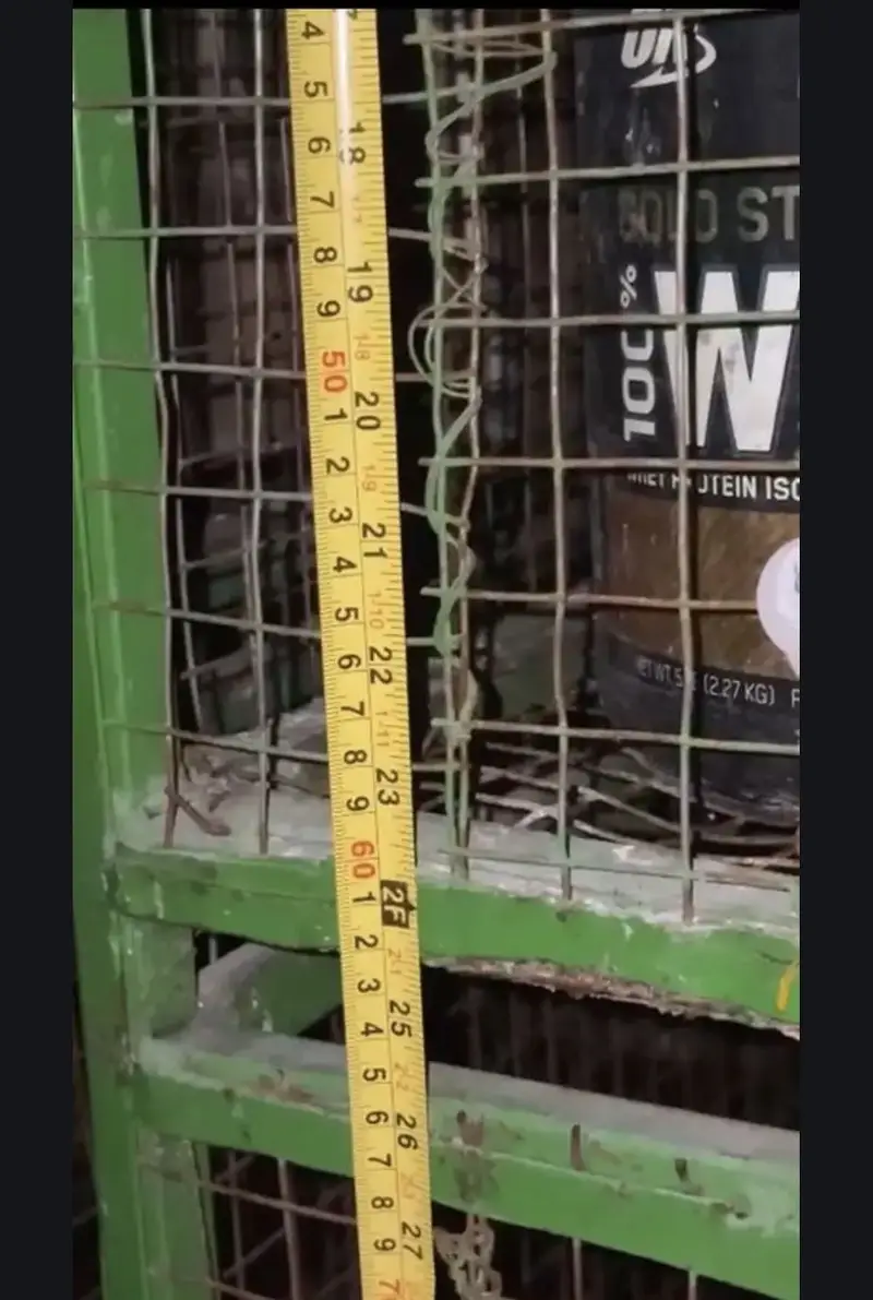 HEAVY WEIGHT BIRDS CAGE — photo 9