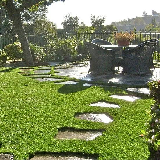 Green Grass Mate 1