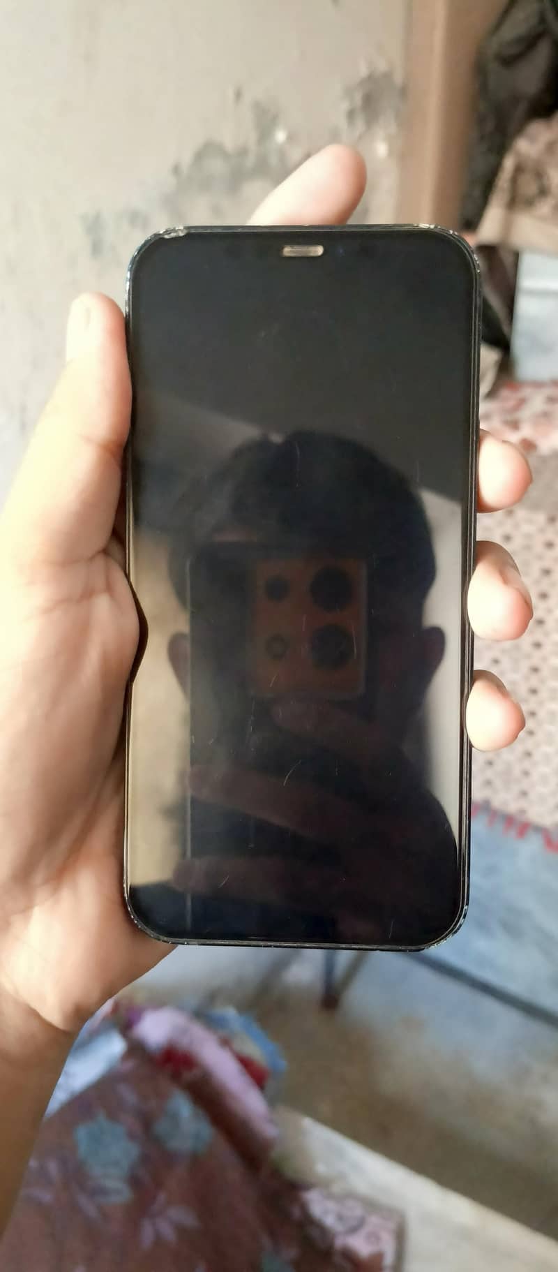 Apple iPhone 12 1
