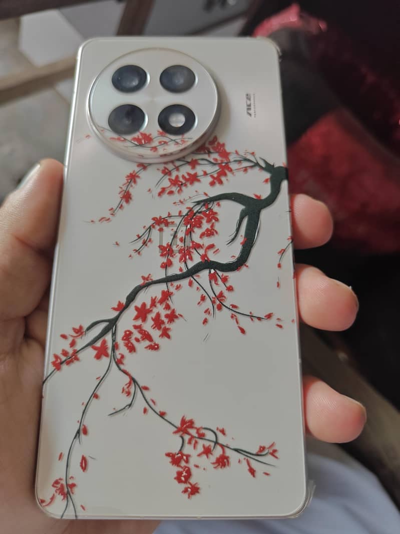 one plus 13R 2
