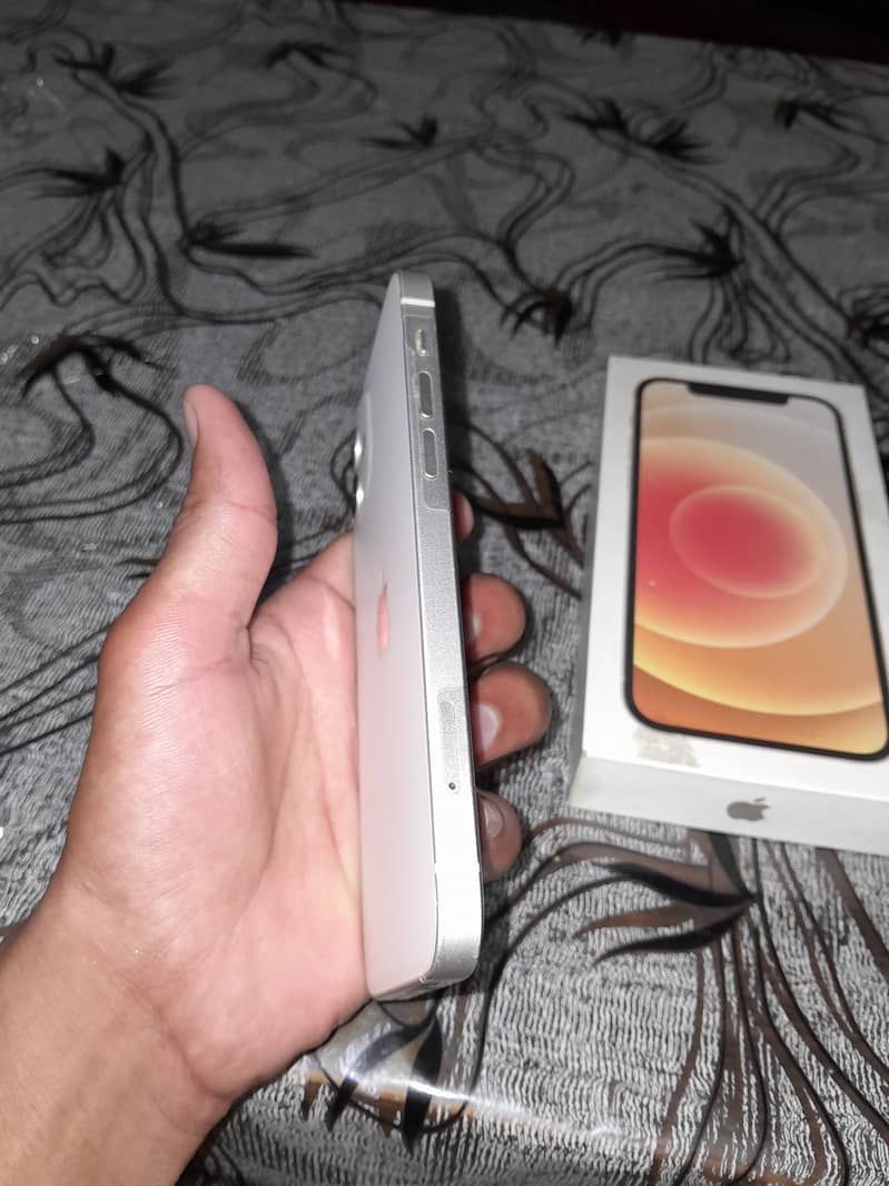 Apple iPhone 12 1