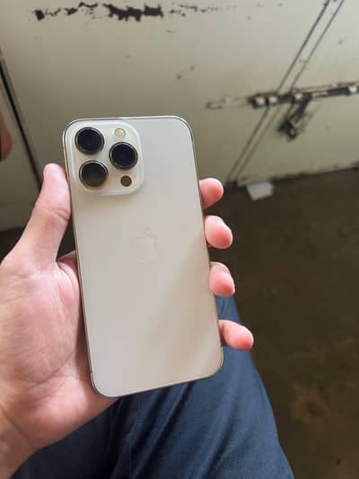 Apple iPhone 13 Pro approved