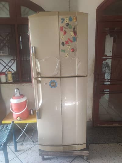 Pel full size refrigerator for sale