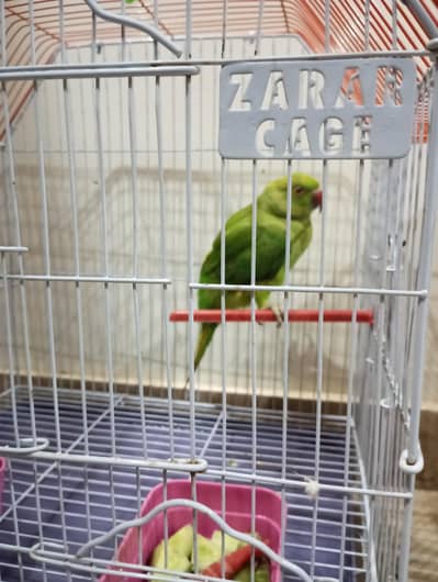 Urgent sale