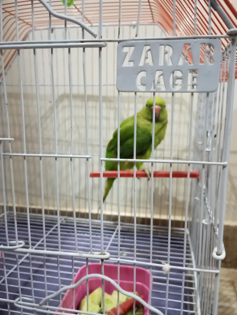 Urgent sale — photo 2