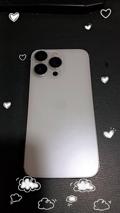 13 pro