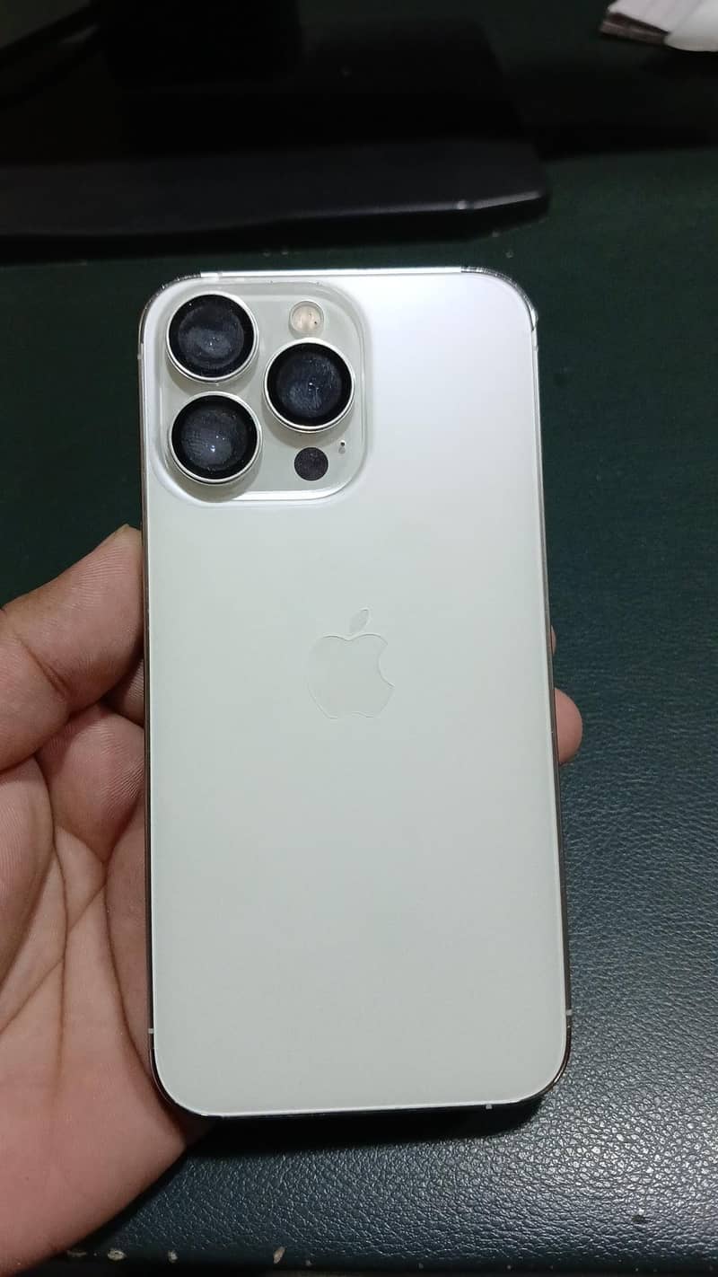 13 pro 2