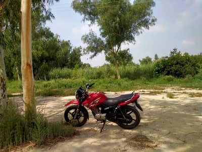 Yamaha YBR 125 — 2016 Model | Restored & Excellent Condition