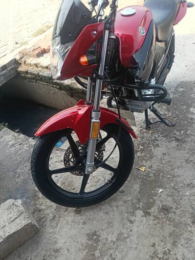Yamaha YBR 125 2025 – 1st Hand | Like New Condition